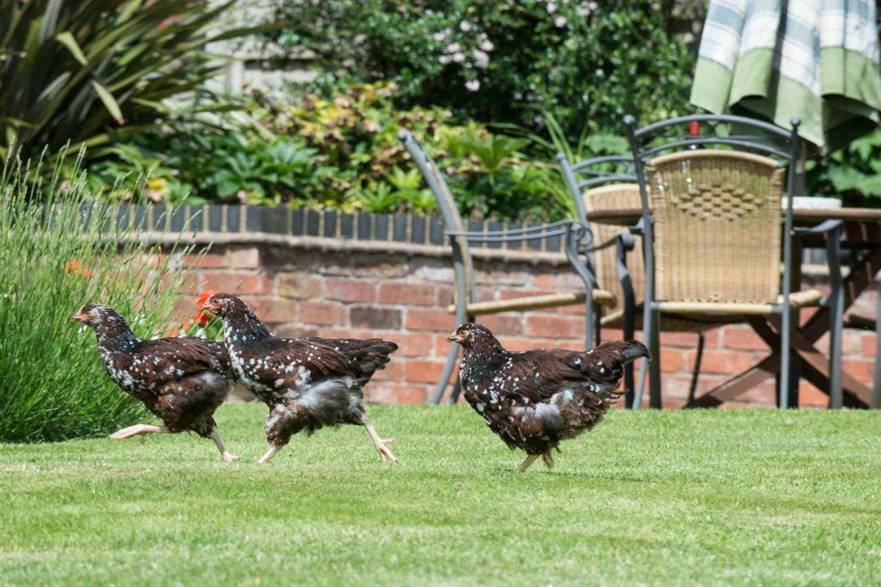 مبيت وإفطار نيوبورت Moreton Hall Farm المظهر الخارجي الصورة