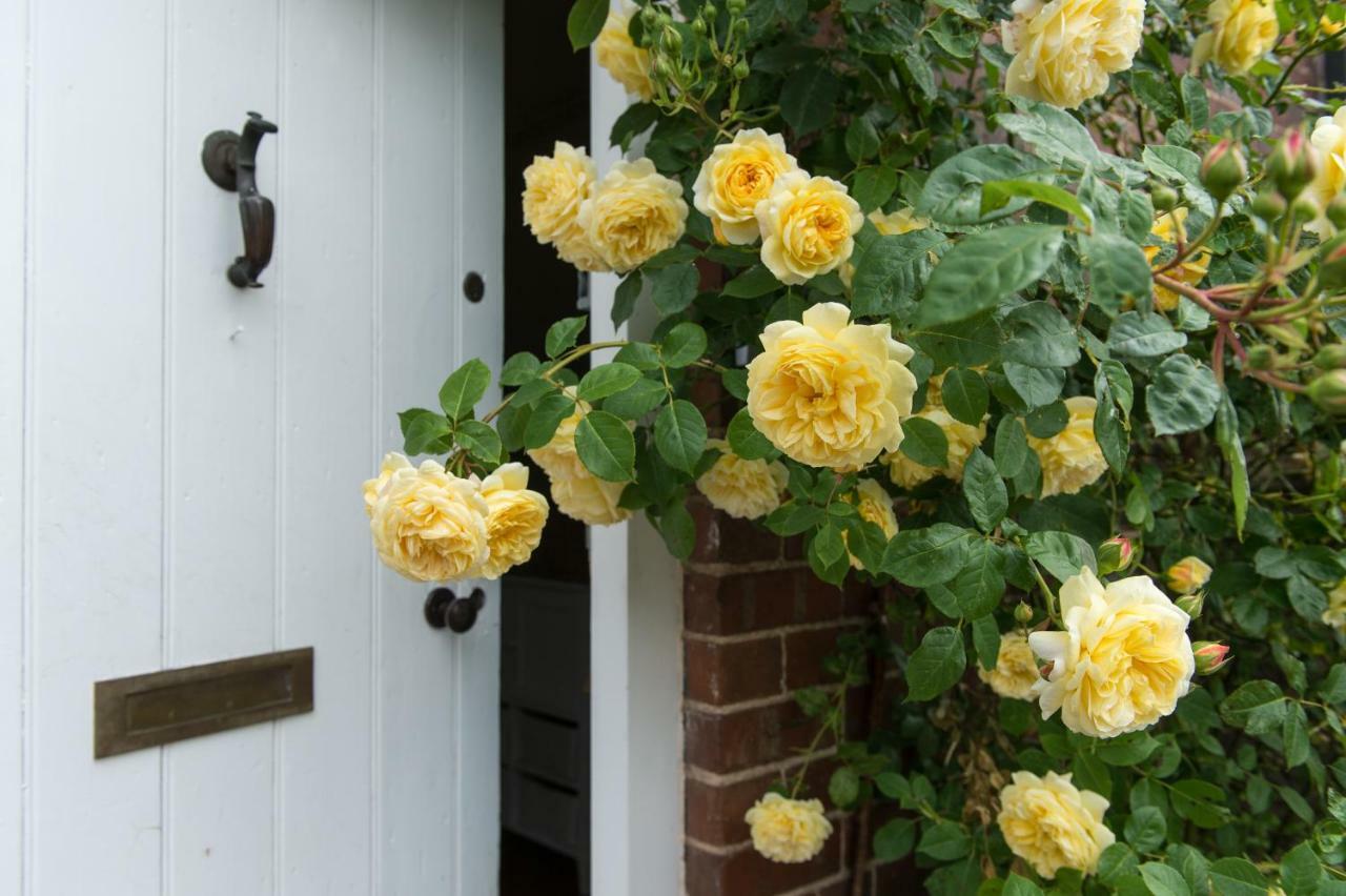مبيت وإفطار نيوبورت Moreton Hall Farm المظهر الخارجي الصورة
